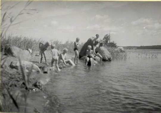 SandSugga 1946 O-vart