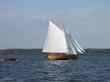 s/y FALKEN - en annan frisk segling 2006